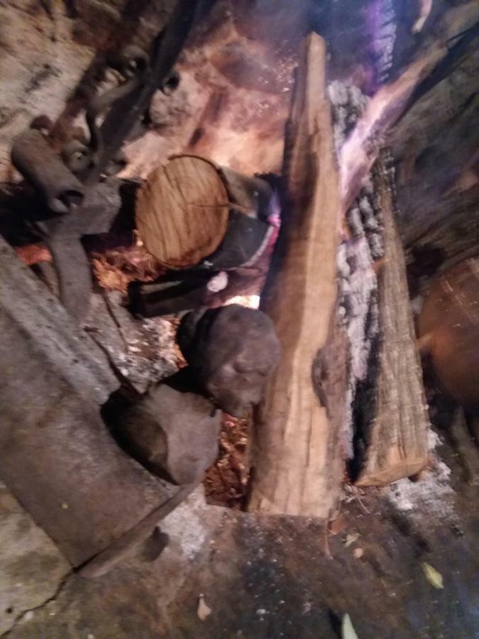 Dos Tavoras * Mirandela