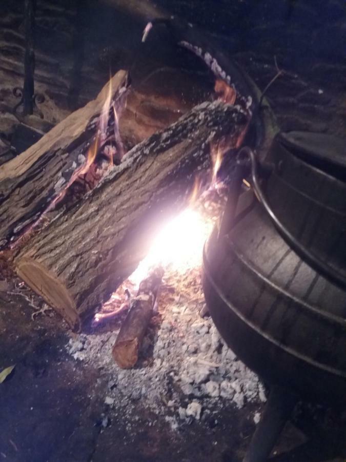 Dos Tavoras Mirandela